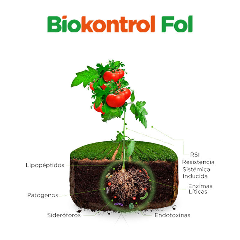 Fungicida microbiológico de aplicación foliar, Biokontrol Fol