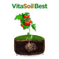 Mejorador orgánico de suelos, VitaSoil