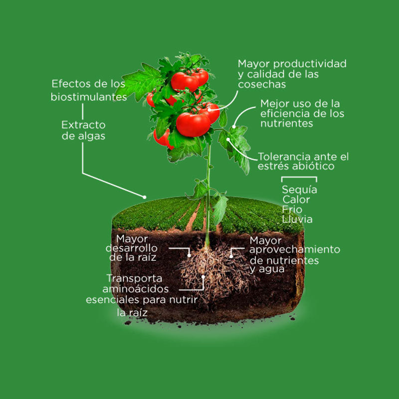 Mejorador orgánico de suelos, VitaSoil