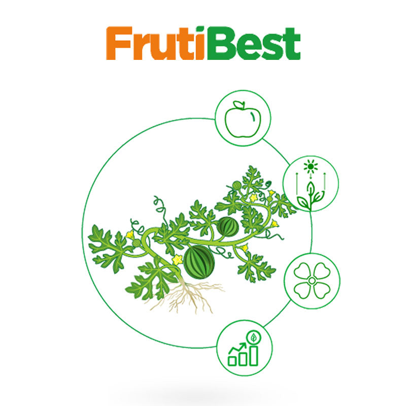 Fertilizante mineral de aplicación foliar, FrutiBest