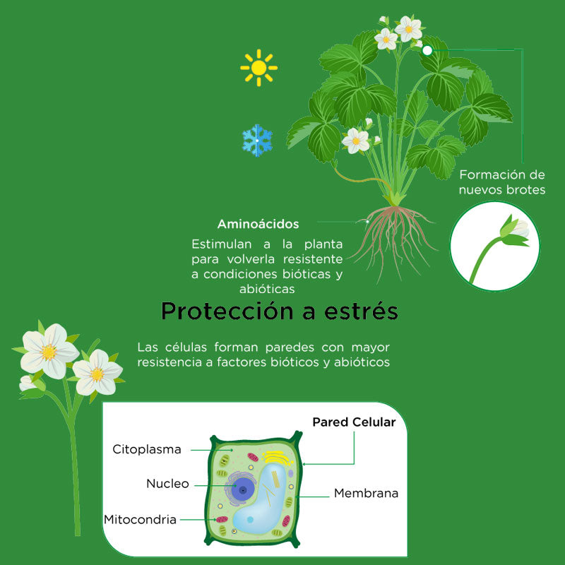 Fertilizante mineral de aplicación foliar, FrutiBest