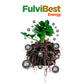 Fertilizante orgánico de aplicación dirigida al suelo o foliar, FulviBest Energy