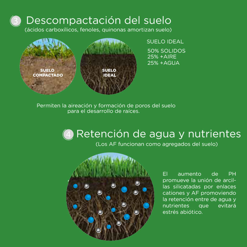 Fertilizante orgánico de aplicación dirigida al suelo o foliar, FulviBest Energy
