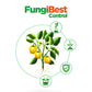 Fungicida botánico de aplicación foliar, FungiBest