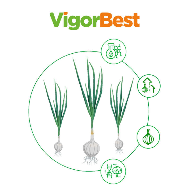 Fertilizante mineral de aplicación foliar, VigorBest