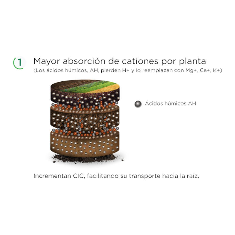 Mejorador orgánico de suelos, HumiBest Energy