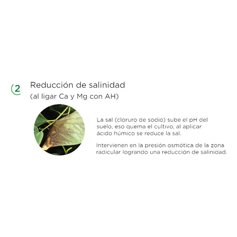 Mejorador orgánico de suelos, HumiBest Energy