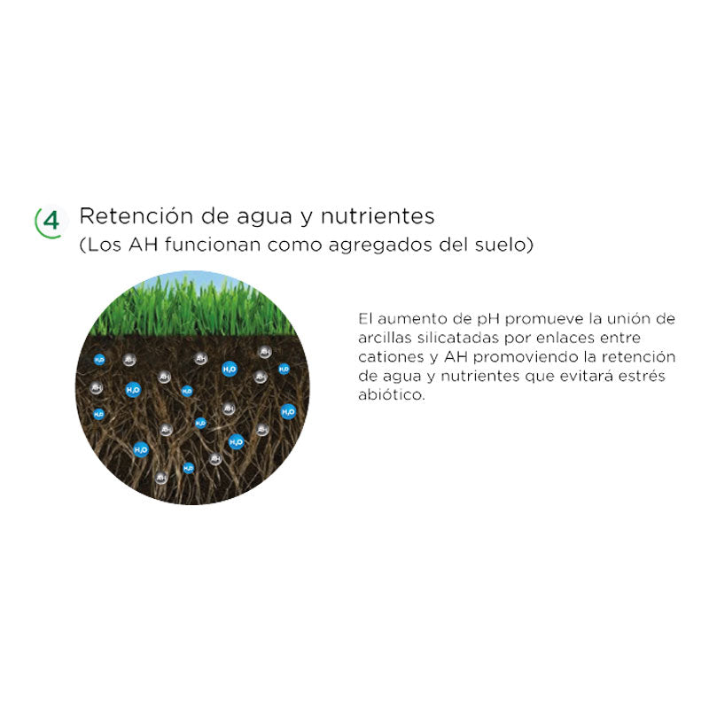 Mejorador orgánico de suelos, HumiBest Energy
