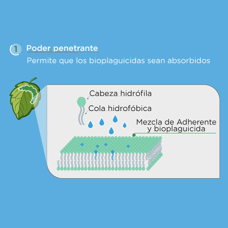 Coadyuvante agrícola de aplicación foliar, AD Maximus